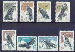 CCCP 1965 Birds Falcon , MNH - Águilas & Aves De Presa