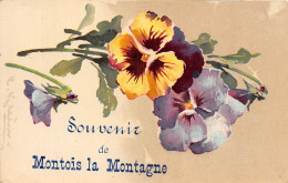 57-MONTOIS-LA-MONTAGNE- SOUVENIR - Other & Unclassified