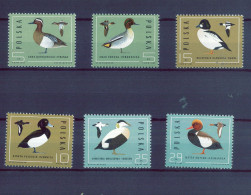 POLSKA POLAND 1965 Birds Ducks  , MNH - Ducks