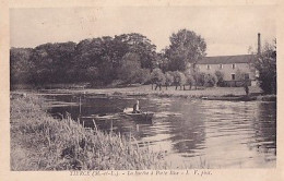 TIERCE                  LA SARTHE A PORTE BISE - Tierce