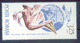 ROMANA 1965 Birds Marine , MNH - Albatros