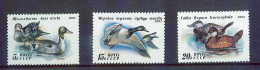 CCCP 1991 Birds Ducks, MNH - Eenden