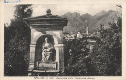 ITALIE - Belluno M 400 - Panorama Dalla Madonnina Blanca - Vue Sur Une Statue - Carte Postale Ancienne - Belluno