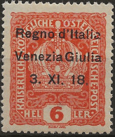 TRVG3L - 1918 Terre Redente - Venezia Giulia, Sassone Nr. 3, Francobollo Nuovo Con Traccia Di Linguella */ - Venezia Giulia