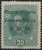 TRVG7L - 1918 Terre Redente - Venezia Giulia, Sassone Nr. 7, Francobollo Nuovo Con Traccia Di Linguella */ - Venezia Giulia