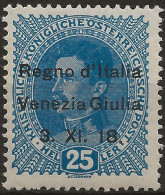 TRVG8L - 1918 Terre Redente - Venezia Giulia, Sassone Nr. 8, Francobollo Nuovo Con Traccia Di Linguella */ - Venezia Julia