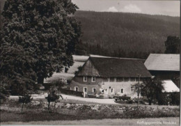 53712 - Friedenfels - Ausflugsgaststätte Bärnhöhe - Ca. 1965 - Tirschenreuth