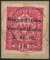 TRVG14UFR - 1918 Terre Redente - Venezia Giulia, Sassone Nr. 14, Francobollo Usato Su Frammento °/ - Trentin