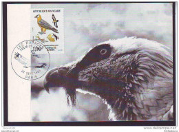 FRANCE, CARTE MAXIMUM - BIRDS-Gypaetus Barbatus # - Águilas & Aves De Presa