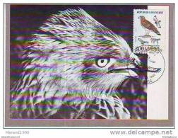 FRANCE, CARTE MAXIMUM - BIRDS-Cirsus Gallicus # - Águilas & Aves De Presa