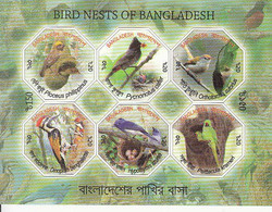 2012 Bangladesh Bird Nests Oiseaux Souvenir Sheet  MNH - Bangladesh