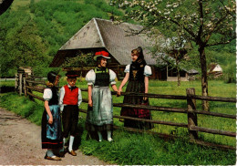 GERMANY - Im Schwarzwald - Hochschwarzwald