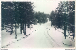 A773 - Catanzaro - La Sila-villaggio Mancuso-bozza Fotografica - Catanzaro