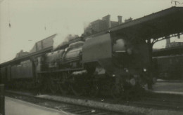 Reproduction - La 231-C-51 Lille-Aulnoye 19h11 - Valenciennes, 20 Juillet 1956 - Trains