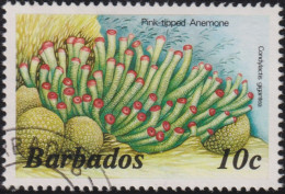 1988 Barbados ° Mi:BB 620YIV, Sn:BB 643e, Yt:BB 722, Pink-tipped Anemone (Condylactis Gigantea) - Barbados (1966-...)