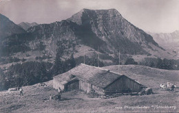 Pfingstboden SG, Chalet D'alpage Et Stockberg (1403) - Nesslau