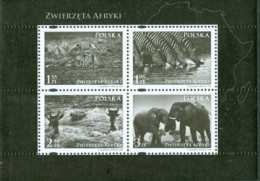 POLOGNE 2009 - Terre D'Afrique - Animaux - Photographies - BF - Elefanten