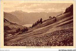 ACH-P5-SUISSE- 0436 - Champ De Narcisses S.MONTREUX - Autres & Non Classés