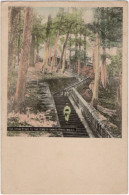 NIKKO. The Stone Staps To The Tomb Of Shinto Temple - Andere & Zonder Classificatie