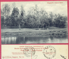 Lake Botanical Garden Singapore No 229 Mak H Hilckes,1911  One Man CPA Vintage_ (n°PCard575)_cpc - Singapour