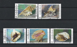 Bahamas 1997 Shells  Y.T. 913+917+921+923+925 (0) - Bahamas (1973-...)
