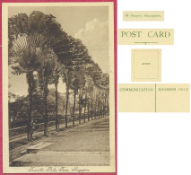 Traveller Palm Trees Singapore No 406910 M Proger_TTB CPA Vintage_(n°PCard452) Singapour_cpc - Singapour