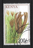Kenya 2001 Plant  Y.T. 743 (0) - Kenia (1963-...)
