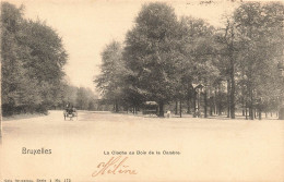 BELGIQUE - Bruxelles - La Cloche Au Bois De La Cambre - Carte Postale Ancienne - Andere & Zonder Classificatie