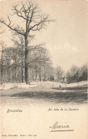 BELGIQUE - Bruxelles - Au Bois De La Cambre - Carte Postale Ancienne - Other & Unclassified