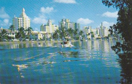 AK 209364 USA - Florida - Miami Beach - Hotel Row And Indian Creek - Miami Beach