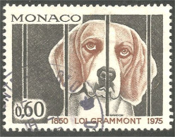 630x Monaco Chien Dog Hund Perro Cane (MON-531) - Honden