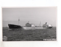 C1245/ Frachter Handelsschiff Tanker Arizona Foto 1956  23 X 14,5 Cm - Cargos