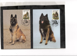 TEM19924 - FDC   24.5.1986  - RAZZE CANINE BELGHE    -CAT.UNIFICATO 2213/2216 - MICHEL  2265/2268 - Honden