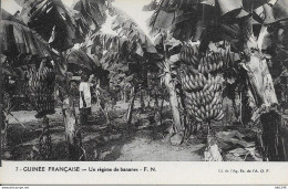 Afrique > Guinée Française Un Regime De Bananes - Guinée Française