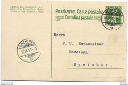 24 - 74 - Entier Postal Avec Superbe Cachet à Date Weinfelden 1917 - Interi Postali