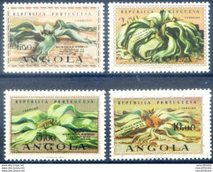 Flora 1959. - Angola