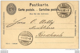 22-2 - Entier Postal 5 Cts Cachets à Date De St Gallen Et Roirschach 1902 - Interi Postali
