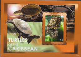 Tortues- Turtles XXX 2012 - Antigua Et Barbuda (1981-...)