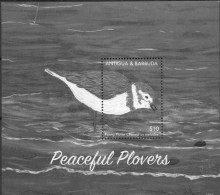 Antigua Y Barbuda Peaceful Plovers - Pluvier 2015 XXX - Antigua Und Barbuda (1981-...)