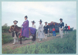 Korean Traditional "marriage Ceremony" - Korea, South