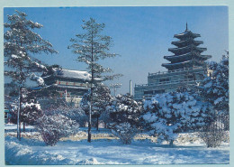 Seoul - A Snow Covered Scene Of Gyeong-bog Palace - Corea Del Sud