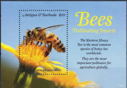 Antigua Y Barbuda 2018 MNH Abeilles -Bijen-Bees - Antigua Und Barbuda (1981-...)