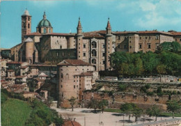 101461 - Italien - Urbino - Panorama - 1962 - Urbino