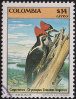 1985 Kolumbien AEREO ° Mi:CO 1650,Yt:CO PA738, Sg:CO 1724, Lt:CO 1674, Lineated Woodpecker (Dryocopus Lineatus Nuperus) - Kolumbien