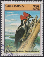 1985 Kolumbien AEREO ° Mi:CO 1650,Yt:CO PA738, Sg:CO 1724, Lt:CO 1674, Lineated Woodpecker (Dryocopus Lineatus Nuperus) - Kolumbien