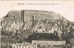 90-002 Belfort - Le Château Et Le Lion (long 22m, Haut 11m) N°3 - Belfort – Le Lion