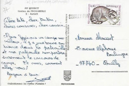 Cachet Couilly-Pont-Aux-Dames 77 Sur CPM Grotte De Pech-Merle Quercy - Auroch - Matasellos Generales