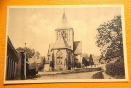 ROOZEBEKE Aan ZWALM  -  Kerk O. L. Vrouw Bezoeking - Oostkant - Zwalm