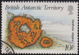 1989 Britisches Antarktis-Territorium ° Mi:GB-AT 152, Sn:GB-AT 149, Yt:GB-AT 172, Sg:GB-AT 167,Xanthoria Elegans - Used Stamps