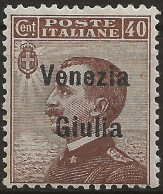 TRVG25N - 1918/19 Terre Redente - Venezia Giulia, Sassone Nr. 25, Francobollo Nuovo Senza Linguella **/ - Venezia Julia